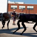 HD wallpaper: algorithm, images, by machine, learn, deep learning ...